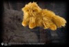 Harry Potter Crookshanks Plush