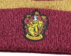 Harry Potter Gryffindor Hat and Scarf Set